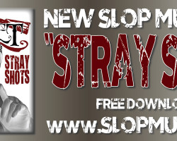 Download “Stray Shots” HERE!